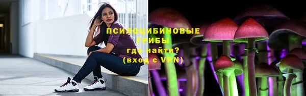 гашик Балабаново