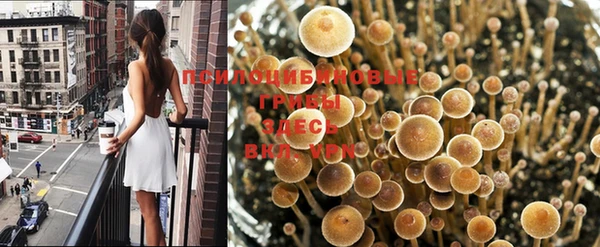 бошки Баксан