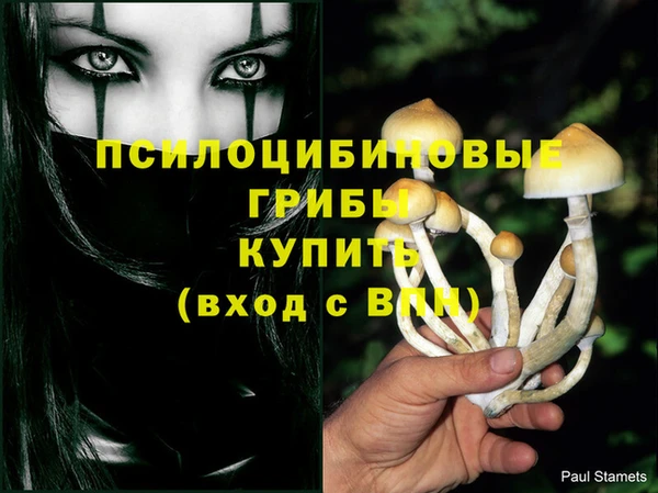 бошки Баксан