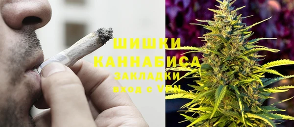 ПСИЛОЦИБИНОВЫЕ ГРИБЫ Балахна