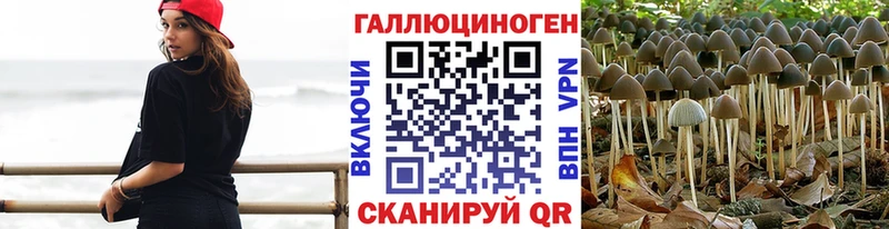 хочу наркоту  Заозёрск  Галлюциногенные грибы GOLDEN TEACHER 